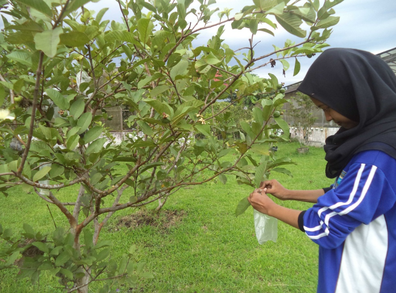 Read more about the article Peran UPT Agrotechnopark Dalam Mendukung Keterampilan Siswa-siswi SMK di Bidang Pertanian